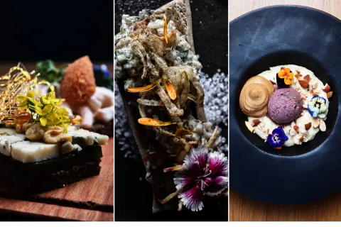 Comer en clave "hygge": descubrí Sál, el restó nórdico que es un viaje gourmet al corazón de Escandinavia Tres platos de Sál, el restaurante de cocina nórdica.