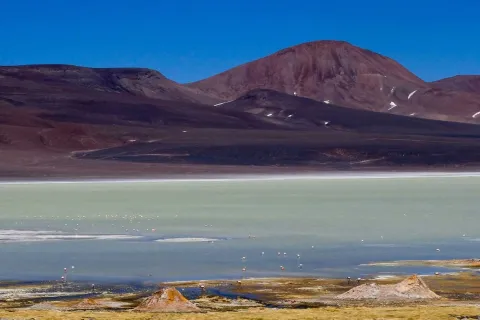 La laguna de ensueño secreta que está considerada como una de las “7 maravillas de Argentina” La Reserva provincial Laguna Brava, llamada inicialmente Reserva Provincial de Vicuñas y de Protección de Ecosistemas de Laguna Brava, se encuentra en el extremo noroeste de la provincia de La Rioja