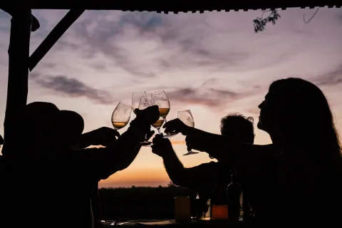 La Ruta del Vino en Buenos Aires: se viene la vendimia nocturna La Ruta del Vino en Buenos Aires: se viene la vendimia nocturna