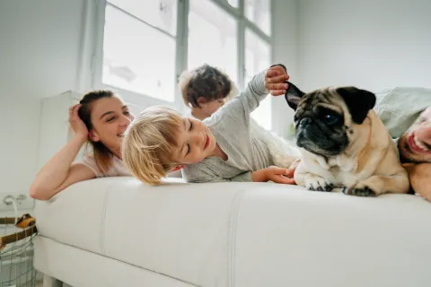 Día Mundial de Amar a tu Mascota: consejos para cuidar a tus animales familia juega con perro