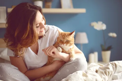 Día Internacional del Gato: 5 claves para cuidar a estas mascotas Día Mundial del Gato: cómo cuidarlos bien