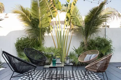 Ni jardines ni patios: ideas low cost para sumar verde a tu terraza Sumar un poco de verde a tu terraza le dará vida y movimiento