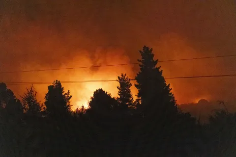 Un bosque prendiéndose fuego.
