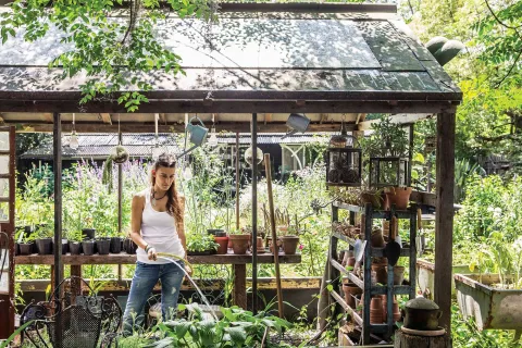 Jardines de invierno: 6 espacios con mucho diseño donde se unen el adentro y el afuera Paquita Romano junto a su jardín de invierno. Frescas y fragantes, las primeras horas de la mañana son el mejor momento para contemplar el jardín. Y también para investigarlo y trabajarlo.