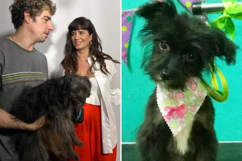 La historia de Uma, la perrita rescatada que interpreta a Roto, el perro de Envidiosa La historia de Uma, la perra que interpreta a Roto en Envidiosa.