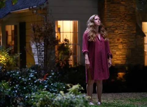 Lo brutal de la maternidad: una mirada sobre “Canina”, la peli protagonizada por Amy Adams Amy Adams en la puerta de una casa.