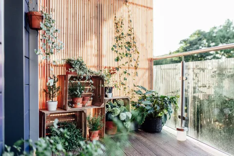 Cómo convertir tu balcón en un espacio de lujo: 5 ideas low cost para inspirarte El concepto de "outdoor living" está a full y no hace falta gastar grandes sumas para lograr un lindo espacio en tu balcón. Ideas simples para transformarlo.