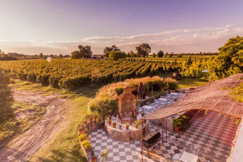 bodega Carmelo