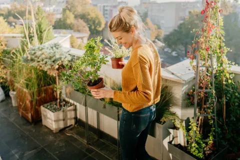 Ideas para acomodar plantas en un patio pequeño Podés sumar plantas a tu pequeño patio con macetas, estantes y otros objetos deco