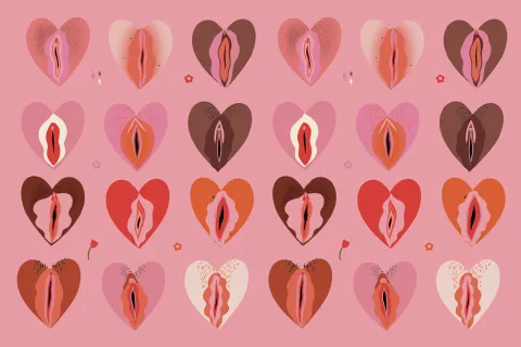 Día de la Vulva: ¿alguna vez te sentiste avergonzada por tu vulva? Vulvas