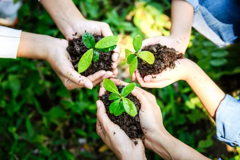 Día de la Tierra: 5 formas simples de cuidar el planeta Día de la Tierra: ¿cómo podemos cuidar el medio ambiente?