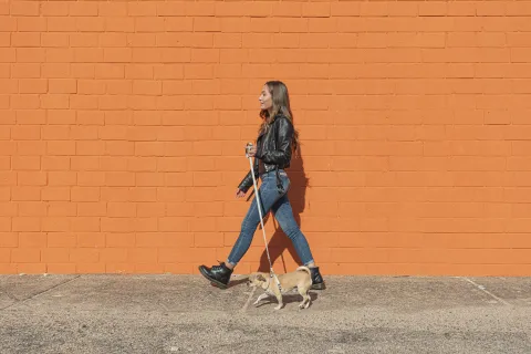 Día Nacional del Perro: ¿por qué es importante cuidar su piel y cómo hacerlo? Día del Perro: por qué se conmemora cada año.
