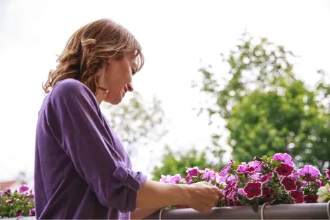 Las plantas con flores violetas para ambientar el balcón Foto de mujer cuidando sus plantas.