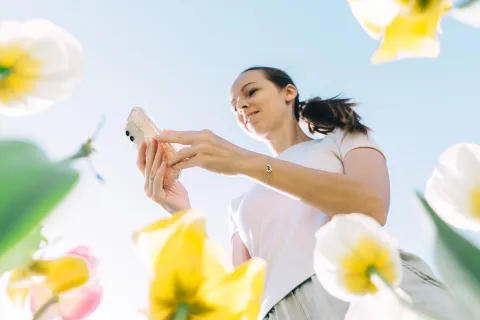 Día de la Primavera: 10 frases para enviar por WhatsApp este 21 de septiembre Día de la Primavera: 10 frases para enviar por WhatsApp este 21 de septiembre.