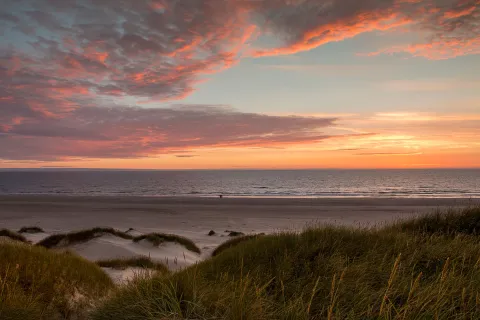 Ni Miramar ni Pinamar: la playa inmersa en un bosque frente al mar a 5 horas de Buenos Aires Atardecer soleado en playa arenas verdes dónde la arena y el mar se tiñen de un amarillo