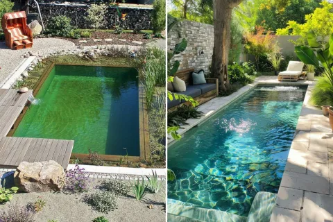 Cómo integrar una biopileta con tu jardín: ideas de paisajismo eco-chic Cómo integrar una biopileta con tu jardín: ideas de paisajismo eco-chic