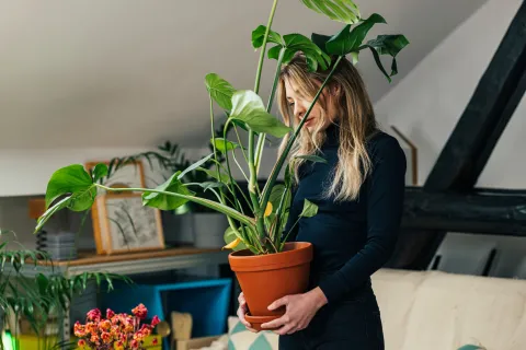 Foto de mujer con plantas.
