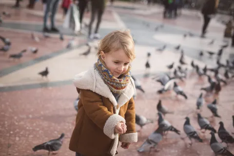 Qué hacer con los chicos en las vacaciones de invierno: planes gratis y de bajo costo nene juega con palomas