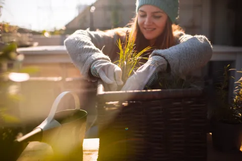 Sin ser experto: los errores más comunes que cometen las personas con las plantas en invierno Foto de plantas.