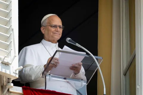 La agenda del Papa León XIV en Argentina: todo lo que se sabe de su llegada al país El Papa León XIV en el balcón