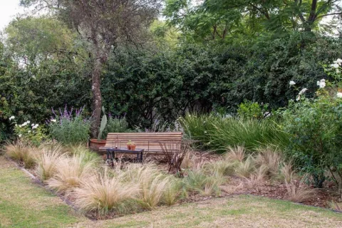 Jardín antiestrés: 5 plantas resistentes que casi no necesitan cuidados Nassella Tenuissima es una de nuestras gramíneas más nobles, tolera el sol, es rústica y lo mejor de todo es que mantiene largos periodos de floración dorada
