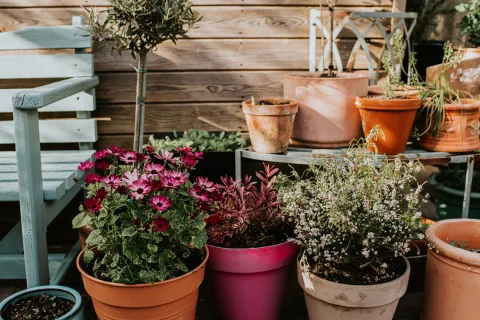 Cómo preparar tu balcón o patio para el deshielo: los cambios para llegar a la primavera Foto de plantas.