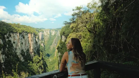 ¿Querés que te lleven de viaje a Brasil y te paguen mil dólares? Buscan gente para un proyecto muy tentador Brasil