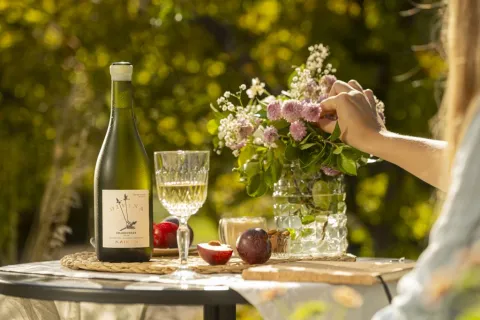 Vinos para la primavera: 6 nuevos lanzamientos livianos y con menos alcohol vino blanco