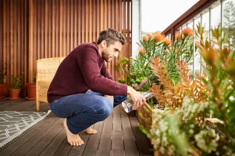 5 árboles chicos que podés plantar en primavera si tenés balcón un hombre cuida plantas en el balcón