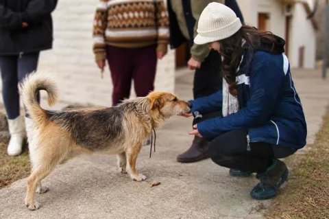 Dedicó más de 20 años a rescatar animales y creó una app que utiliza inteligencia artificial para encontrar mascotas perdidas La aplicación para mascotas de Daniela Elia- Firulapp
