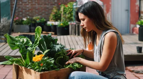 Calendario lunar de octubre 2026: qué hacer en la huerta y el jardín mujer en la huerta