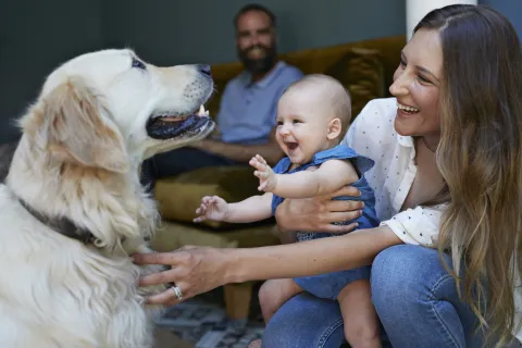 Cuando llega un bebé a casa: cómo preparar a tu perro o gato para conocerlo la llegada de un bebe a la casa