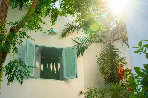 Una casa con ventana y luz natural entre el verde de las plantas.