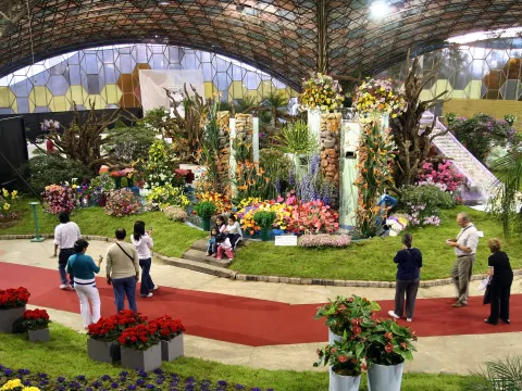 Fiesta Nacional de la Flor: cuándo es, dónde se hace y cómo participar como voluntario fiesta de la flor en escobar