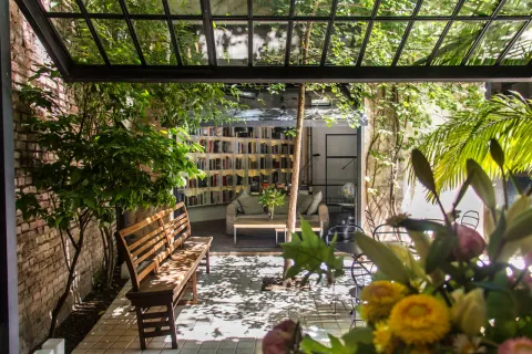 Jardín de primavera: qué plantas explotan en octubre y cómo sacarles el máximo partido patio pergola flores y plantas de primavera