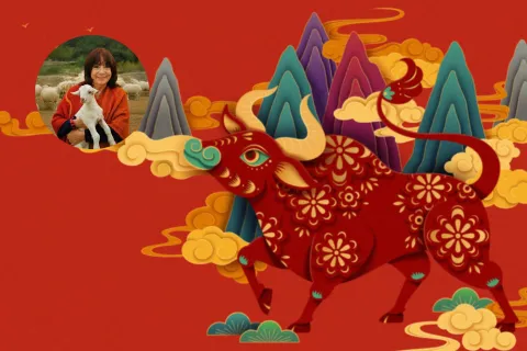 Horóscopo chino 2027: qué le espera al Búfalo en el año de la Cabra de Fuego, según Ludovica Squirru bufalo horoscopo chino ludovica