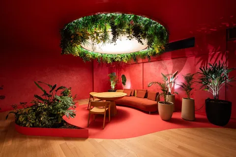 Colour Drenching: la nueva tendencia simple y elegante que es ideal para decorar paredes