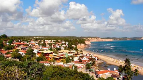 Brasil: ante el aumento de las muertes por fiebre amarilla, recomiendan a los turistas vacunarse antes de viajar La OMS recomendaba la vacuna para aquellas personas que viajaran al Norte y el interior de Brasil, ahora, como precaución, aconseja vacunarse al menos diez días antes del viaje a todos los que planeen visitar también San Pablo