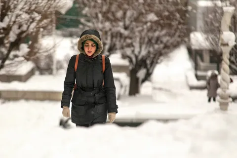 ¿Qué onda con el clima? Temperaturas extremas y desastres naturales por todo el mundo