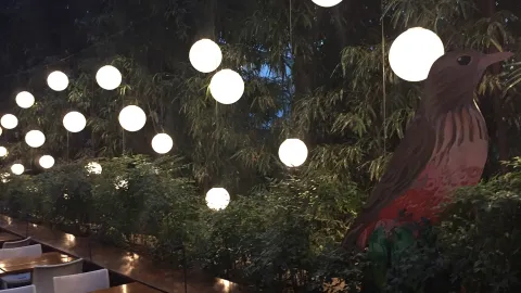 Comer al aire libre: 6 patios y terrazas ideales para el verano Lugares para comer al aire libre
