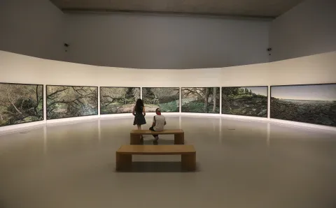Qué hacer en Mar del Plata si llueve: 5 planes increíbles que no te van a hacer extrañar la playa Museo Mar, en Mar del Plata