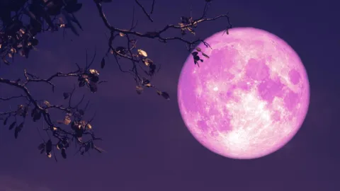 Superluna llena: ¿Por qué se llama de fresa? Luna llena de fresa