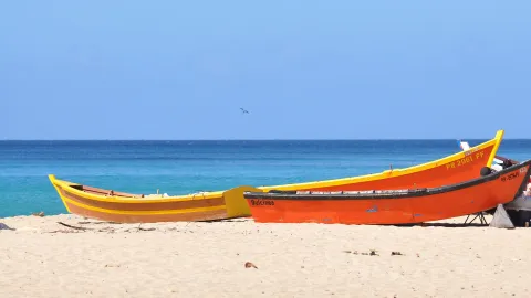 3 días en Puerto Rico: mucho más que playa en el corazón del Caribe Kayak de día y también de noche en Puerto Rico