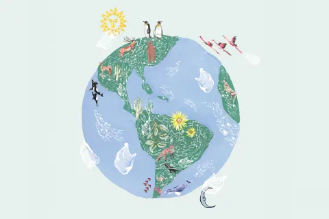 Ecodesafíos 2019: 10 consignas para ayudar al planeta este año ATDITXZ7ZBBETM7VU3IOSEMYTM.jpg