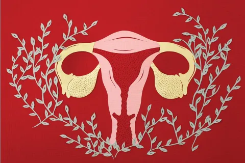 4 herramientas para estimular la fertilidad Si estás en la búsqueda, algunas herramientas pueden potenciarte. ¿La clave?: Equilibrar las emociones y estar receptiva para la concepción.