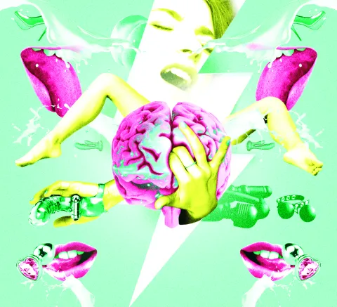 Sexo: cuál es el órgano que más erotiza ¿Tu cerebro te frena o te excita a la hora del sexo?