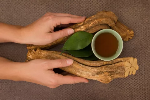 Ayahuasca: cómo es el psicodélico ritual y cuáles son sus riesgos ¿Qué es el ayahuasca? Foto: Canva