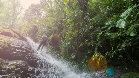 Quito: del centro histórico más grande de América al bosque frondoso Gentileza Turismo Quito