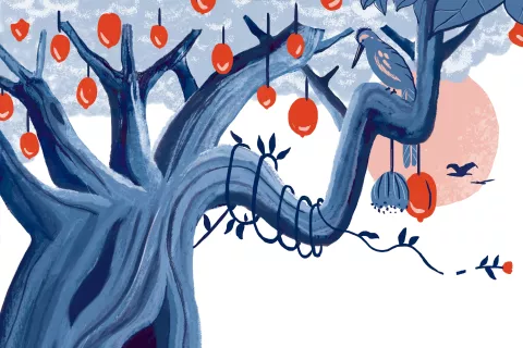 Baobab. El árbol que ahora se consume como superalimento HHFX6FOTQVAEVK65TSJDX4ZLTY.jpg
