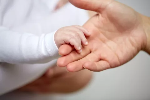 Fertilización asistida: qué tenés que saber sobre los métodos que existen Foto: Canva